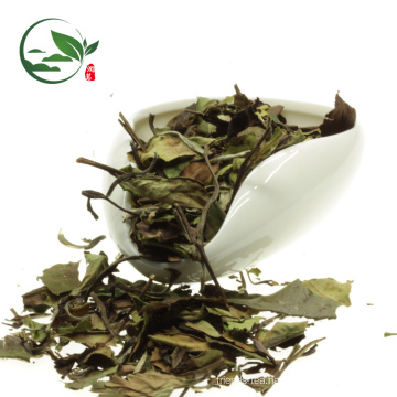 Organic Best White Tea Brands White Tea